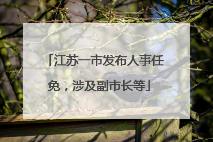 江苏一市发布人事任免，涉及副市长等