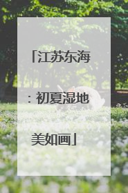 江苏东海：初夏湿地美如画