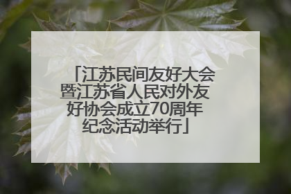 江苏民间友好大会暨江苏省人民对外友好协会成立70周年纪念活动举行