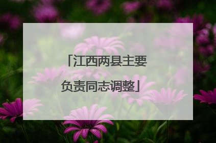 江西两县主要负责同志调整