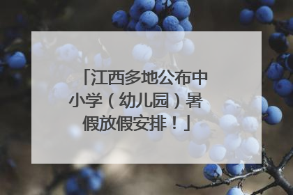 江西多地公布中小学（幼儿园）暑假放假安排！