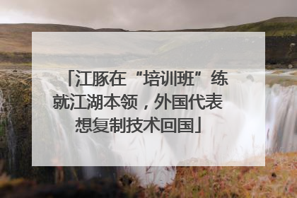 江豚在“培训班”练就江湖本领，外国代表想复制技术回国