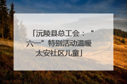 沅陵县总工会：“六一”特别活动温暖太安社区儿童