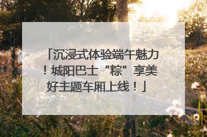 沉浸式体验端午魅力！城阳巴士“粽”享美好主题车厢上线！
