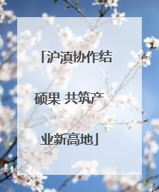 沪滇协作结硕果 共筑产业新高地