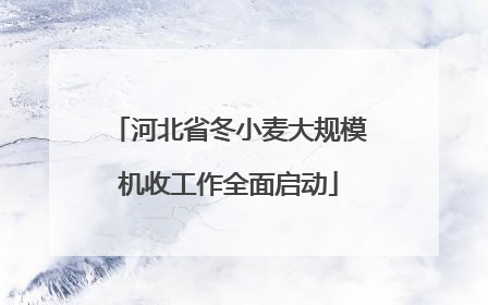 河北省冬小麦大规模机收工作全面启动