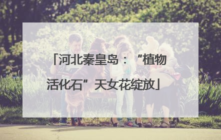 河北秦皇岛：“植物活化石”天女花绽放