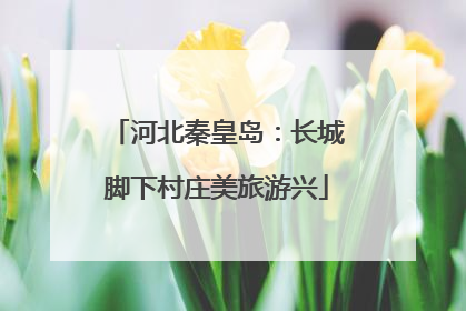 河北秦皇岛：长城脚下村庄美旅游兴