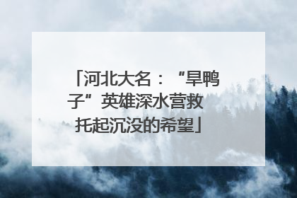 河北大名：“旱鸭子”英雄深水营救 托起沉没的希望