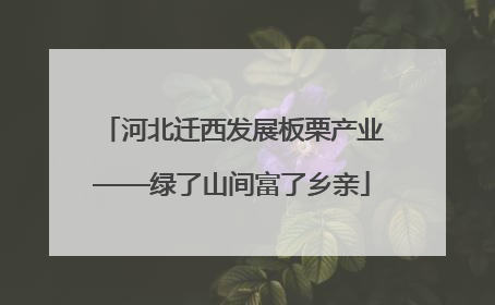 河北迁西发展板栗产业——绿了山间富了乡亲