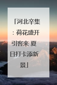 河北辛集：荷花盛开引客来 夏日打卡添新景