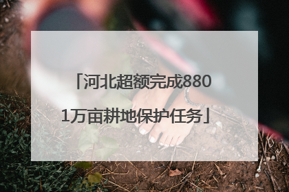 河北超额完成8801万亩耕地保护任务