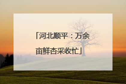 河北顺平：万余亩鲜杏采收忙