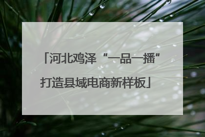 河北鸡泽“一品一播”打造县域电商新样板