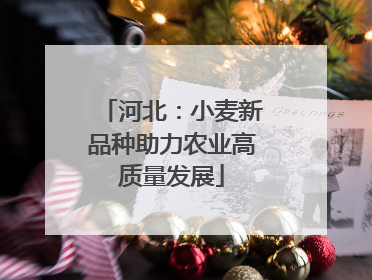 河北：小麦新品种助力农业高质量发展