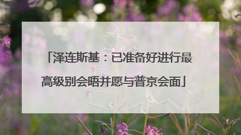 泽连斯基：已准备好进行最高级别会晤并愿与普京会面