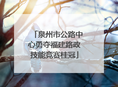 泉州市公路中心勇夺福建路政技能竞赛桂冠