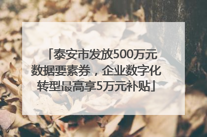 泰安市发放500万元数据要素券，企业数字化转型最高享5万元补贴