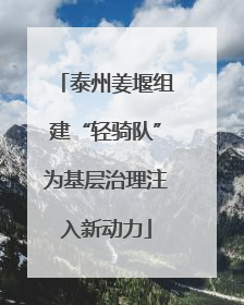泰州姜堰组建“轻骑队”为基层治理注入新动力