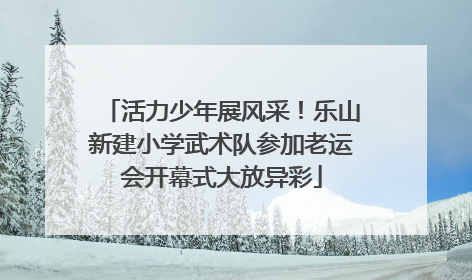 活力少年展风采！乐山新建小学武术队参加老运会开幕式大放异彩