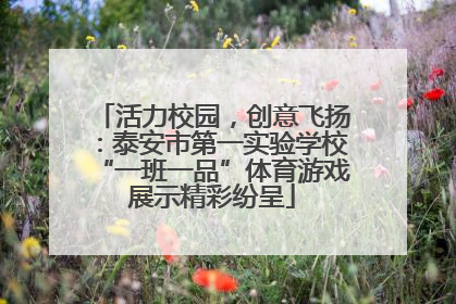 活力校园，创意飞扬：泰安市第一实验学校“一班一品”体育游戏展示精彩纷呈