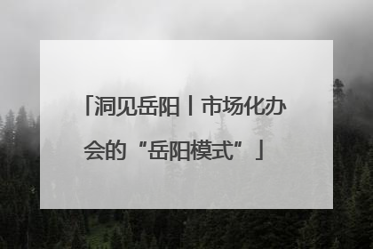 洞见岳阳丨市场化办会的“岳阳模式”