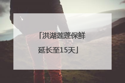 洪湖莲蓬保鲜延长至15天