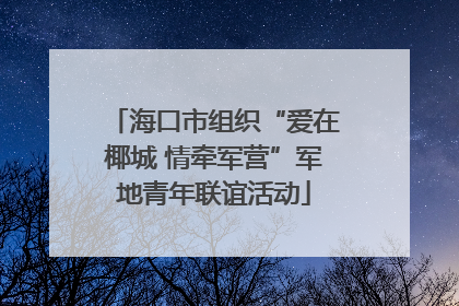 海口市组织“爱在椰城 情牵军营”军地青年联谊活动