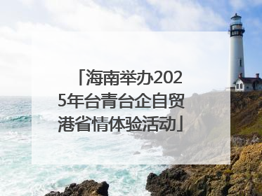 海南举办2025年台青台企自贸港省情体验活动