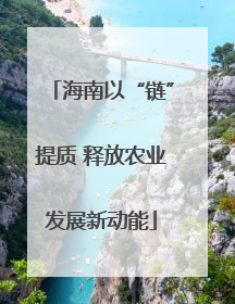 海南以“链”提质 释放农业发展新动能