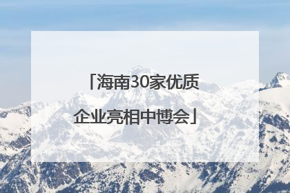 海南30家优质企业亮相中博会