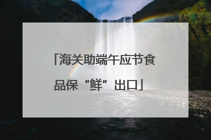 海关助端午应节食品保“鲜”出口