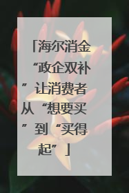 海尔消金“政企双补”让消费者从“想要买”到“买得起”