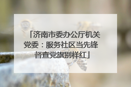 济南市委办公厅机关党委：服务社区当先锋 督查党旗别样红