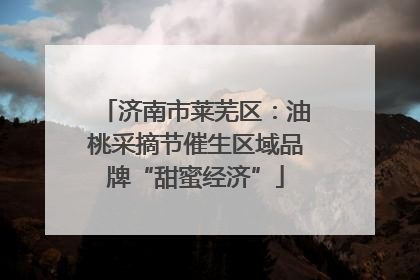 济南市莱芜区：油桃采摘节催生区域品牌“甜蜜经济”