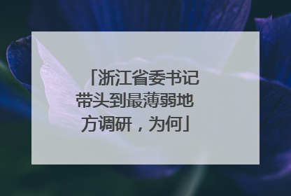 浙江省委书记带头到最薄弱地方调研，为何