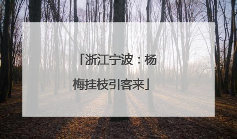 浙江宁波：杨梅挂枝引客来