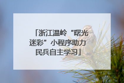 浙江温岭“曙光迷彩”小程序助力民兵自主学习