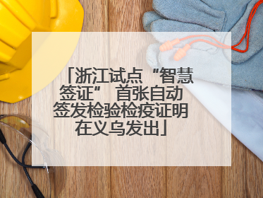 浙江试点“智慧签证” 首张自动签发检验检疫证明在义乌发出