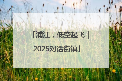 浦江，低空起飞｜2025对话街镇