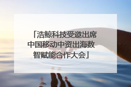浩鲸科技受邀出席中国移动中资出海数智赋能合作大会