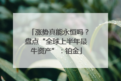 涨势真能永恒吗？盘点“全球上半年最牛资产”：铂金
