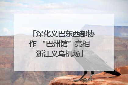 深化义巴东西部协作 “巴州馆”亮相浙江义乌机场