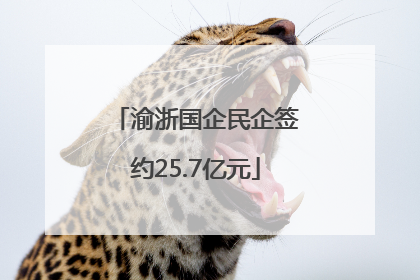 渝浙国企民企签约25.7亿元
