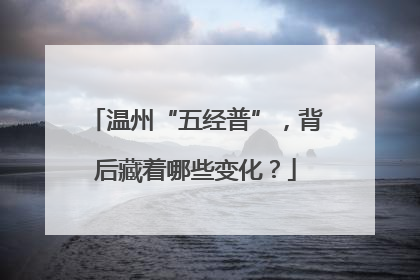 温州“五经普”，背后藏着哪些变化？