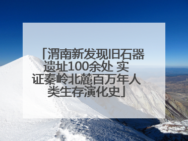 渭南新发现旧石器遗址100余处 实证秦岭北麓百万年人类生存演化史