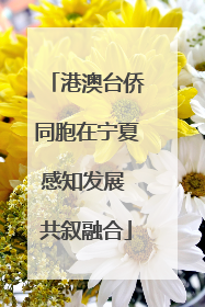 港澳台侨同胞在宁夏感知发展 共叙融合