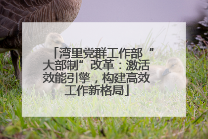 湾里党群工作部“大部制”改革：激活效能引擎，构建高效工作新格局