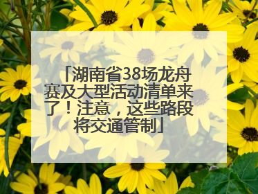 湖南省38场龙舟赛及大型活动清单来了！注意，这些路段将交通管制