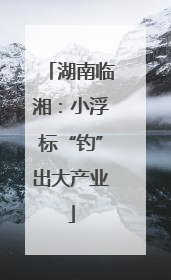 湖南临湘：小浮标“钓”出大产业